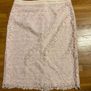 Ann Taylor blush skirt